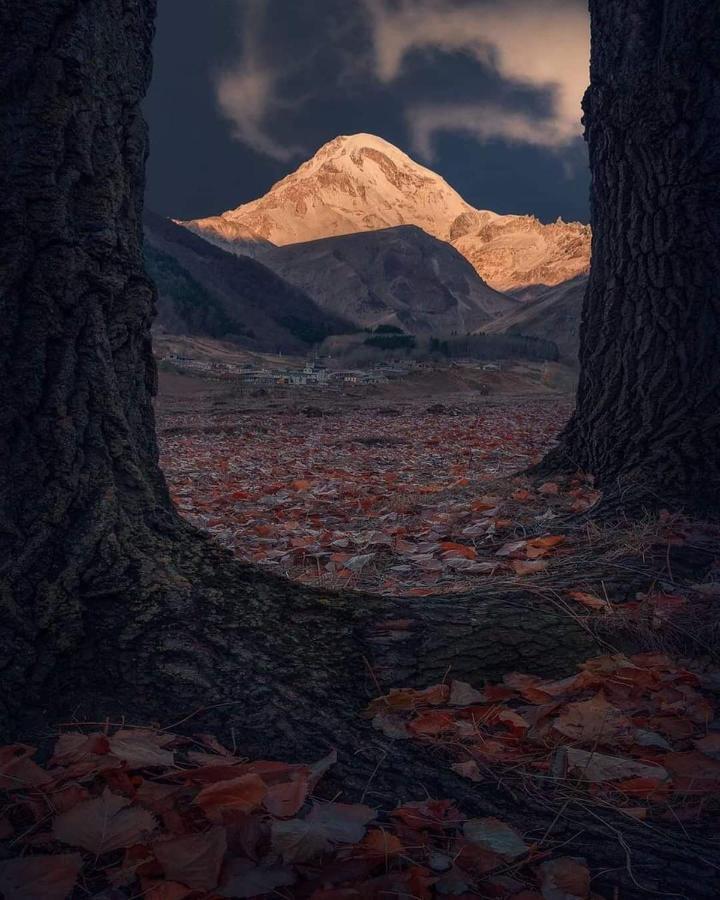 Гостевой дом Мариами Казбеги Экстерьер фото